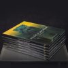 Album „Kolekcja Japońska. Beksiński i inni” - obrazek 2