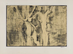 Stanek Zdzisław - ŚWIATŁODRZEWA,1961