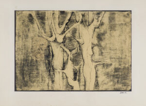 Stanek Zdzisław - ŚWIATŁODRZEWA,1961