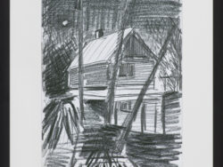 Modzelewski Jarosław - DOM W ZDZIARCE I, PO 2001