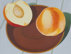 Wojnarowski Antoni Janusz - Brzoskwinie, 2007