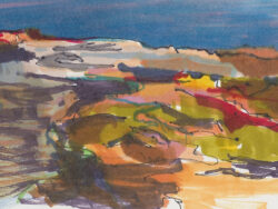 Platero Miguel - Mitzpe Ramon, 2019