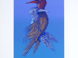 Get-Stankiewicz   Eugeniusz - XXX, 1980