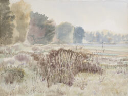 Ałaszewski Marek - Skraj lasu