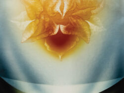 Stanek Zdzisław - BEZ TYTUŁU, 1962