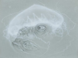 Gwizdała Wojciech  - BEZ TYTUŁU