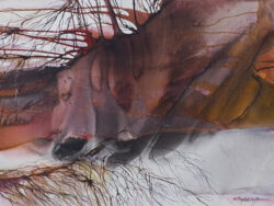 Parylak - Hoffmann Maria - GÓRA – WYDMY