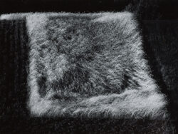 Spałwan  Jan - Poletko, 1975