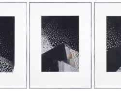 Macharska  Małgorzata - BEZ TYTUŁU (TRYPTYK), 2004