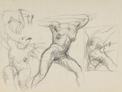 Starowieyski Franciszek - SZKICE AKTÓW