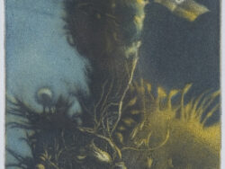 Kotkowski Włodzimierz - MAŁA NATURALNOŚĆ II, 1981